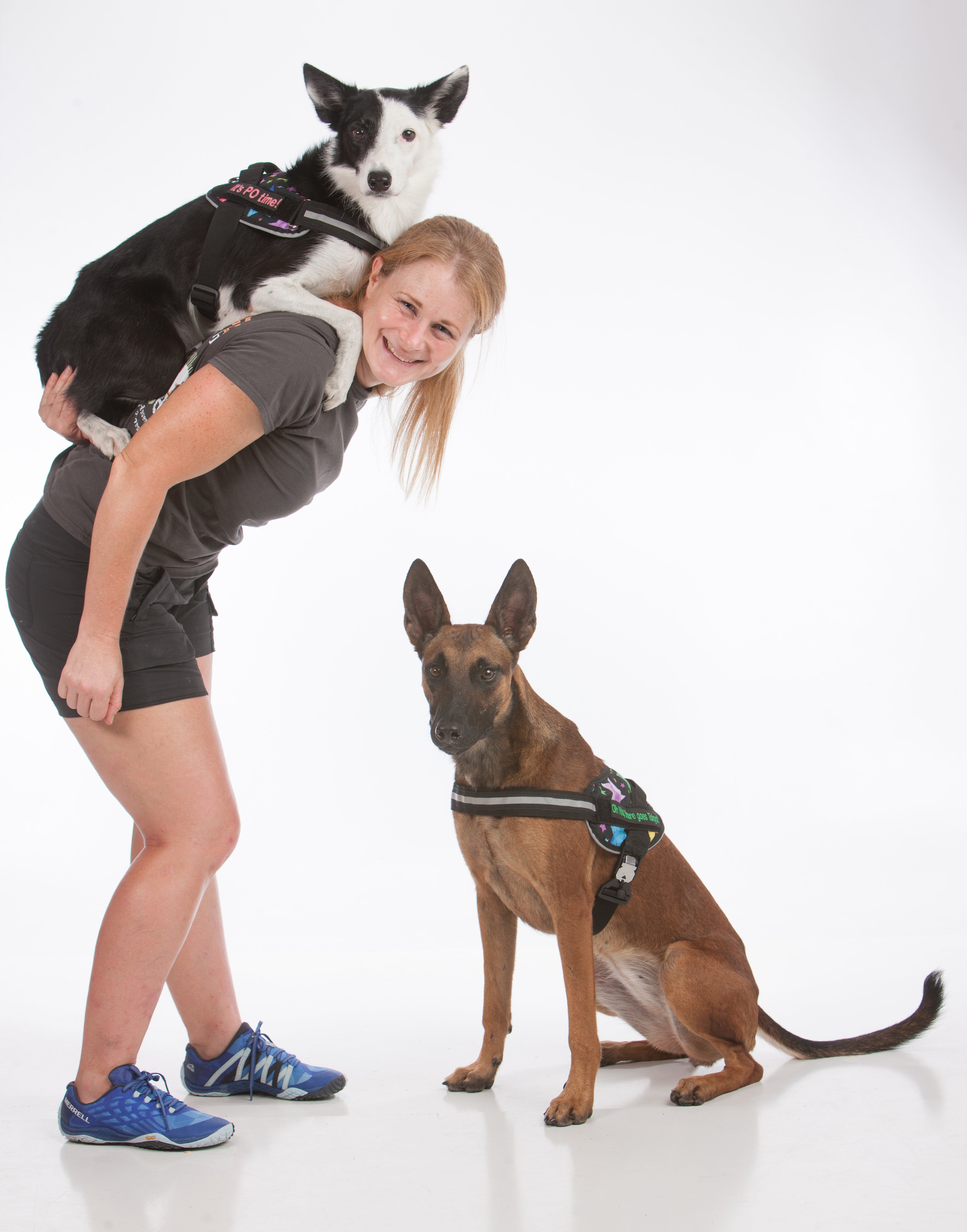 Testimonial From Lindsey Hinds Brilliant K9 Custom Dog Harnesses