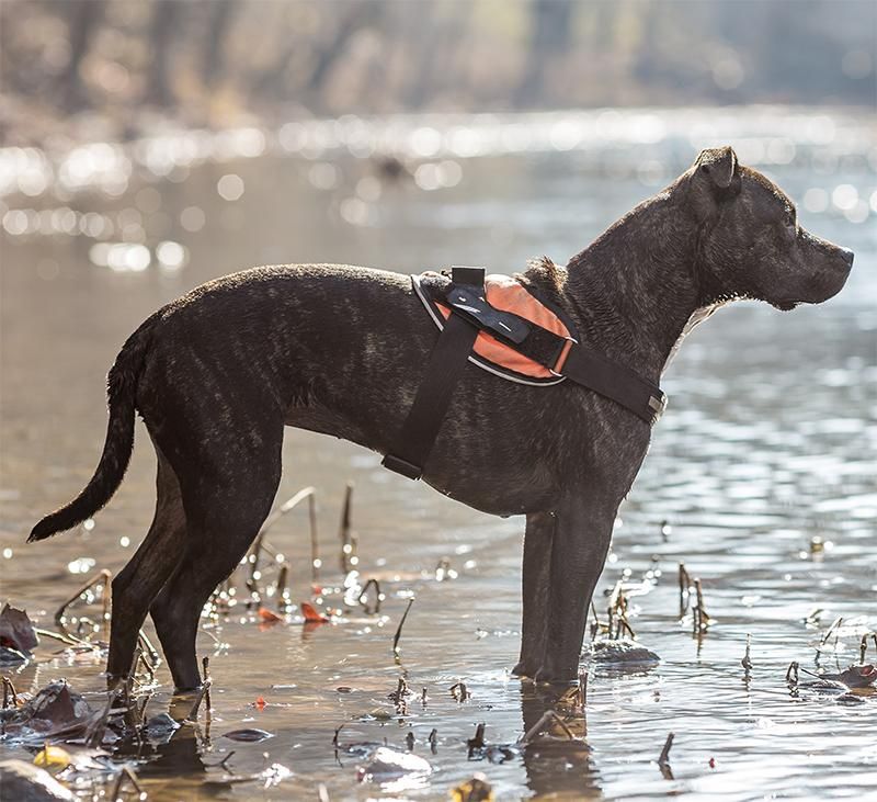 BrilliantK9 Ergonomic Dog Harness Medium