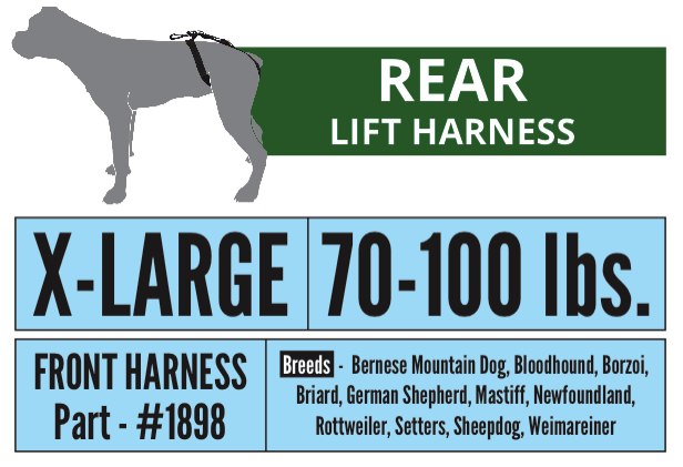 Rottweiler harness size discount