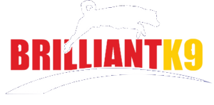BrilliantK9