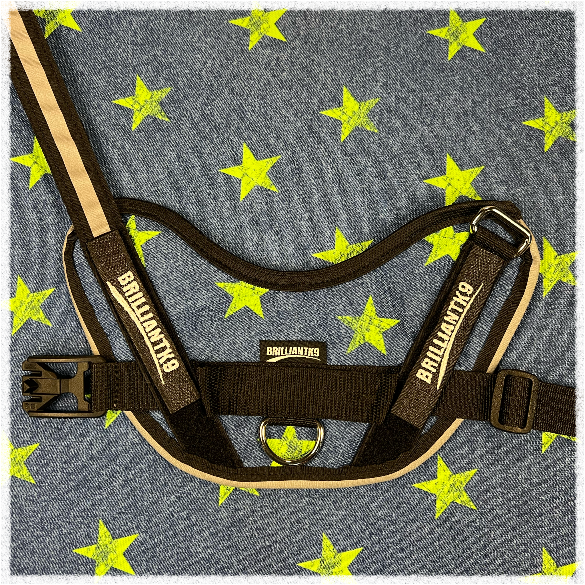 Lucy Fit Medium Dog Harness in Star Chief