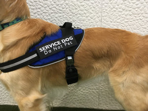 Do Not Pet Patch for Service Dogs