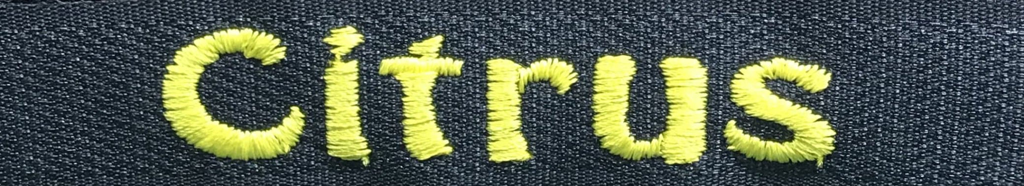 example of embroidery in citrus color