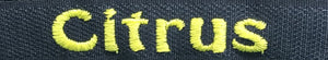 example of embroidery in citrus color