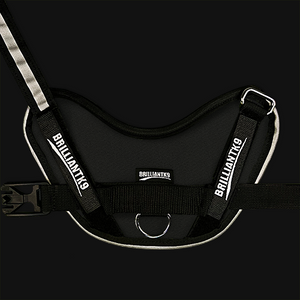 Oliver small dog harness in black knight