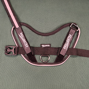 small dog walking harness  in Forest Green