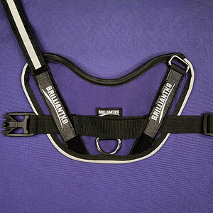 XL custom dog harness in grape purple