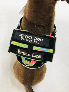 Lucy Toy Service Dog Vest top view
