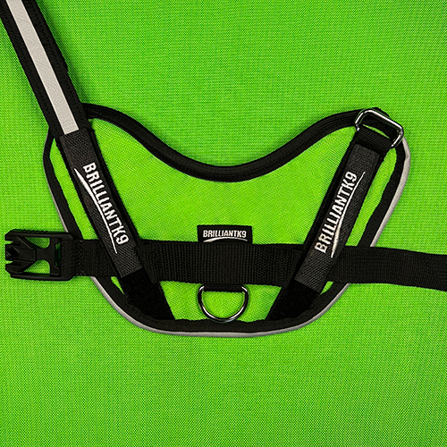 medium-sized dog harness in Neon Green