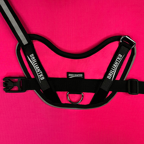 Mid-Sized Ares Sport Dog Harness in neon pink