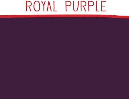 royal purple Doggie Disc Bag