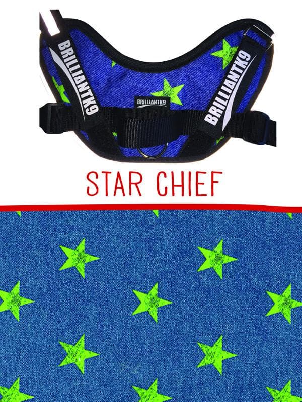 Extra-Large Service Dog Vest in star chief