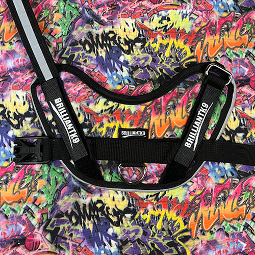 Mid-Sized Ares Sport Dog Harness in street art