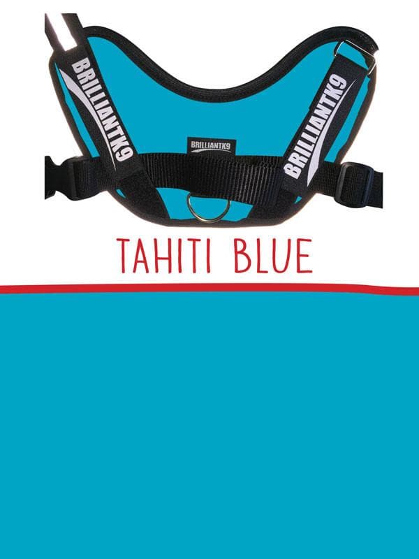 Dixie Service Dog Harness Vest in Tahiti blue