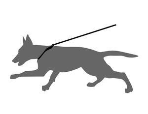 graphic of a dog on a leash