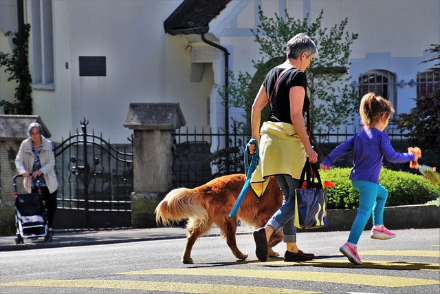 woman and child walking with their dog
