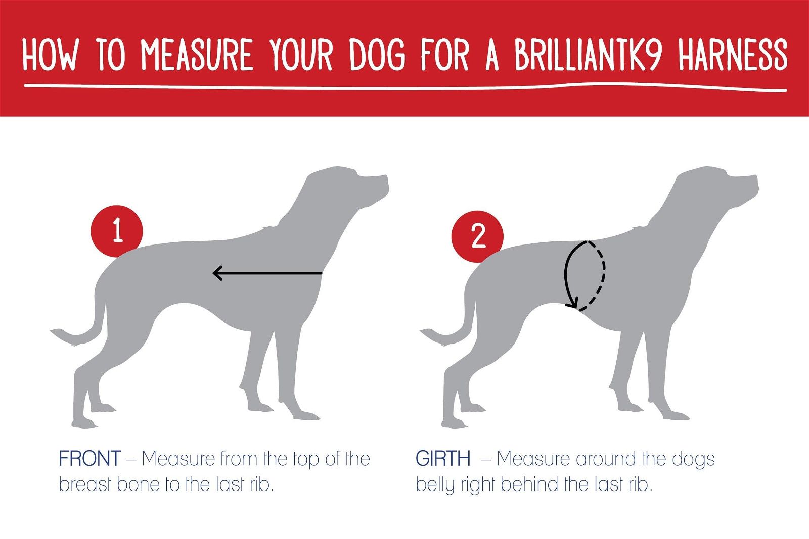 1 Measure for a BrilliantK9 Harness - BrilliantK9 -      -                                                                             