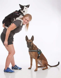 AKC NAC *LIMITEDS* BrilliantK9 Ergonomic Dog Harness - BrilliantK9 -      -                                                                             