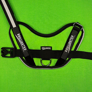 Small Breed Dog Harness - 15-20" | Walking Harness for Long Body Dogs,Dog Harness,BrilliantK9,BrilliantK9
