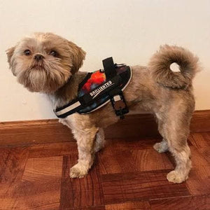 BrilliantK9 Ergonomic Dog Harness Callie - Main Image