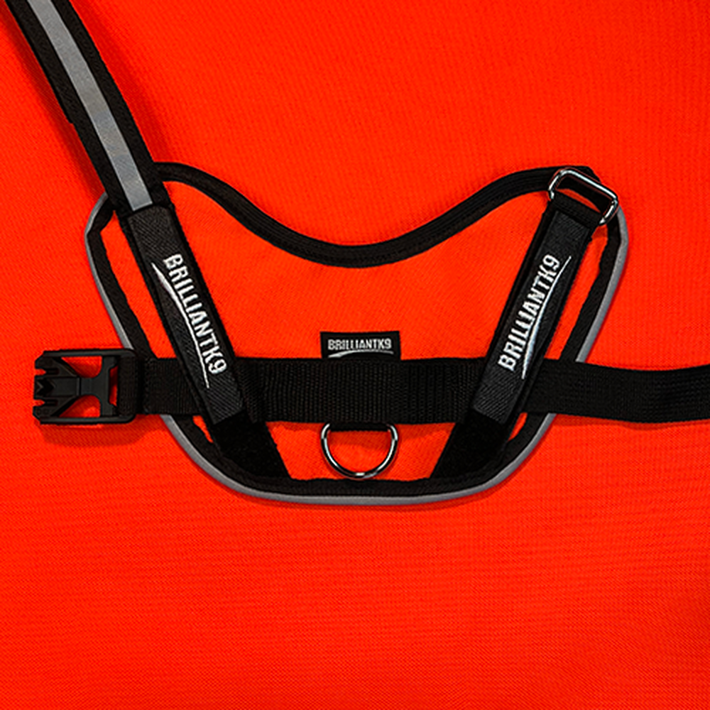 Small Breed Dog Harness - 15-20" | Walking Harness for Long Body Dogs,Dog Harness,BrilliantK9,BrilliantK9