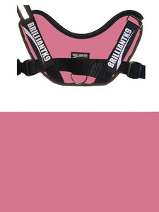 BrilliantK9 Ergonomic Dog Harness Lucy Large Detection - BrilliantK9 -      -                                                                             