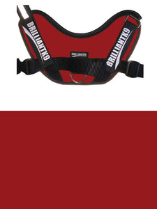 BrilliantK9 Ergonomic Dog Harness Lucy Large Detection - BrilliantK9 -      -                                                                             
