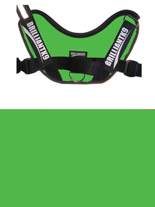 BrilliantK9 Ergonomic Dog Harness Lucy Large Detection - BrilliantK9 -      -                                                                             