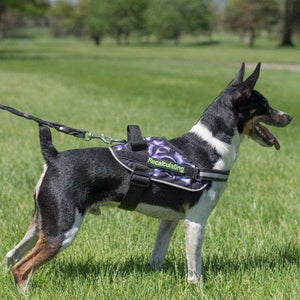 BrilliantK9 Ergonomic Dog Harness Lucy Medium Detection - BrilliantK9 -      -                                                                             