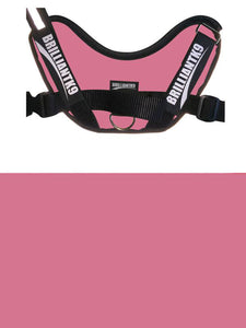 BrilliantK9 Ergonomic Dog Harness Lucy Medium Detection - BrilliantK9 -      -                                                                             