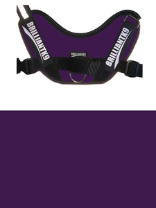 BrilliantK9 Ergonomic Dog Harness Lucy Medium Detection - BrilliantK9 -      -                                                                             