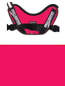 BrilliantK9 Ergonomic Dog Harness Lucy Medium Detection - BrilliantK9 -      -                                                                             
