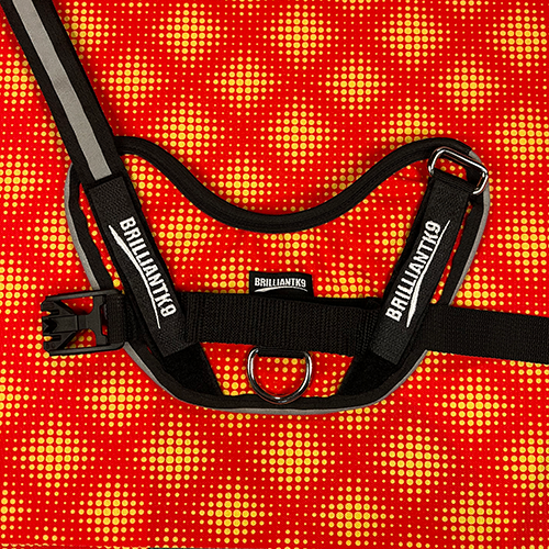 Petite Dog Harness - Lucy Fit | 14-18" Extra-Small Dog Vest,Dog Harness,BrilliantK9,BrilliantK9