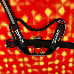 Petite Dog Harness - Lucy Fit | 14-18" Extra-Small Dog Vest,Dog Harness,BrilliantK9,BrilliantK9