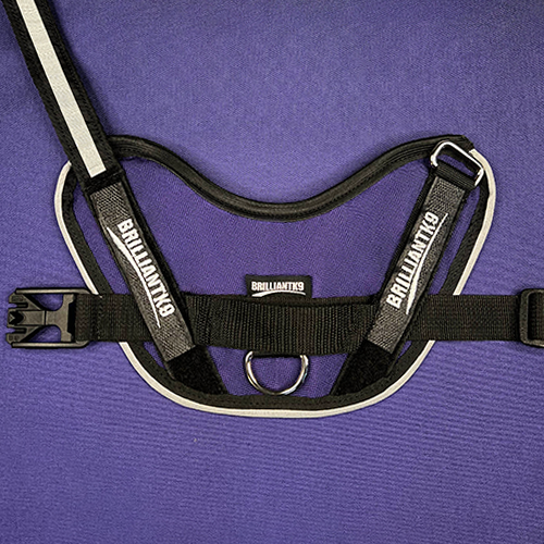 Petite Dog Harness - Lucy Fit | 14-18" Extra-Small Dog Vest,Dog Harness,BrilliantK9,BrilliantK9