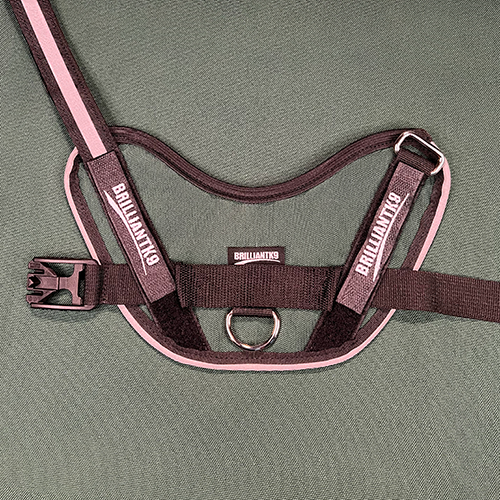 Petite Dog Harness - Lucy Fit | 14-18" Extra-Small Dog Vest,Dog Harness,BrilliantK9,BrilliantK9