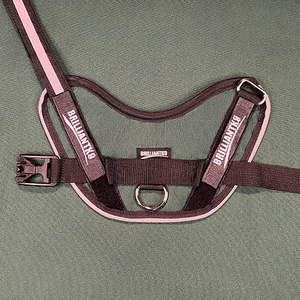 Petite Dog Harness - Lucy Fit | 14-18" Extra-Small Dog Vest,Dog Harness,BrilliantK9,BrilliantK9
