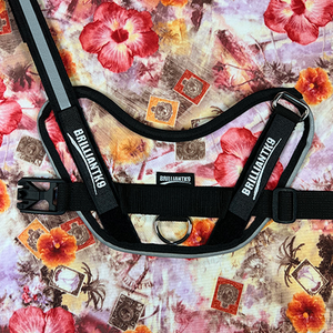Petite Dog Harness - Lucy Fit | 14-18" Extra-Small Dog Vest,Dog Harness,BrilliantK9,BrilliantK9