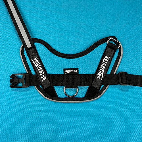 Petite Dog Harness - Lucy Fit | 14-18" Extra-Small Dog Vest,Dog Harness,BrilliantK9,BrilliantK9
