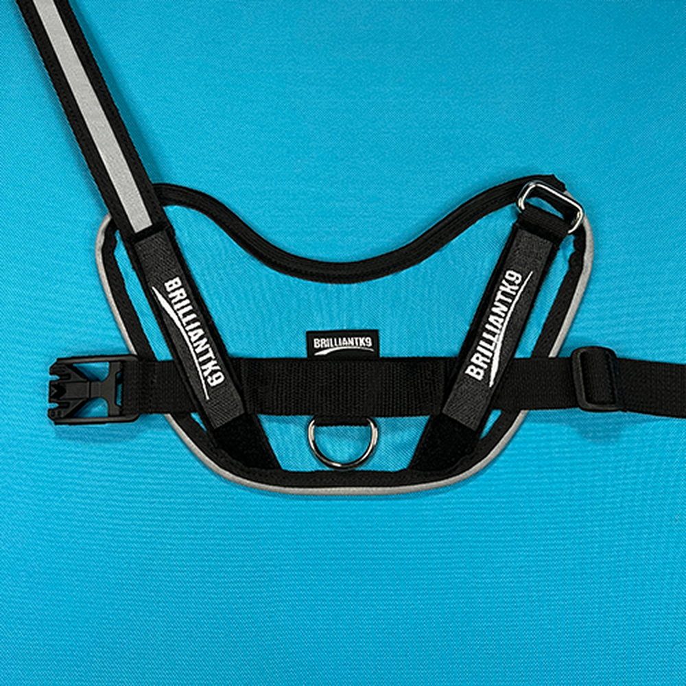 Petite Dog Harness - Lucy Fit | 14-18" Extra-Small Dog Vest,Dog Harness,BrilliantK9,BrilliantK9