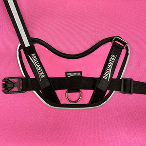 Petite Dog Harness - Lucy Fit | 14-18" Extra-Small Dog Vest,Dog Harness,BrilliantK9,BrilliantK9