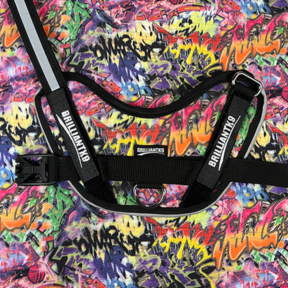 Small Dog Walking Harness - Lucy Fit | 17-24" Stylish Dog Harness,Dog Harness,BrilliantK9,BrilliantK9