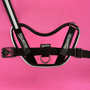 Small Dog Walking Harness - Lucy Fit | 17-24" Stylish Dog Harness,Dog Harness,BrilliantK9,BrilliantK9
