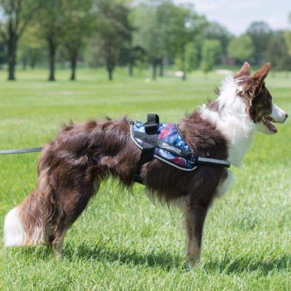 BrilliantK9 Ergonomic Dog Harness Lucy Small Detection - BrilliantK9 -      -                                                                             