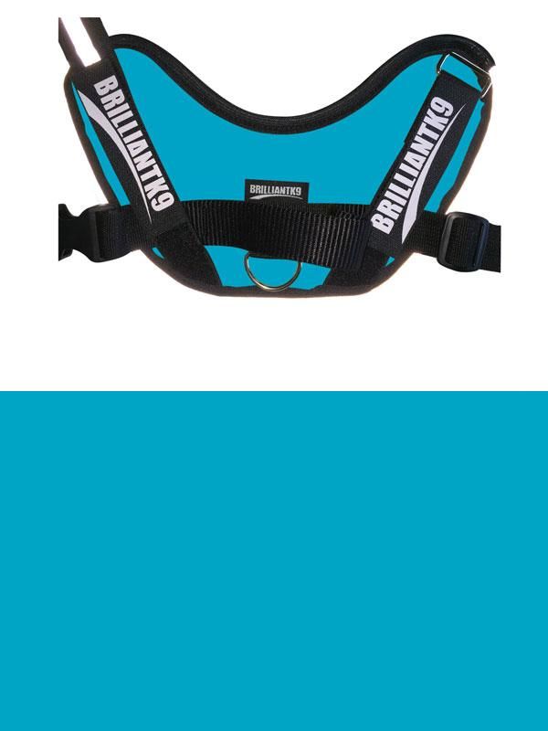 BrilliantK9 Ergonomic Dog Harness Lucy Small Detection - BrilliantK9 -      -                                                                             