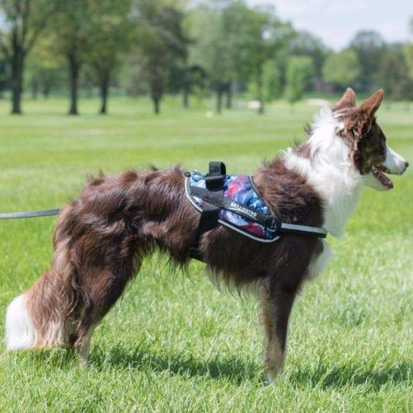 ,Dog Harness,BrilliantK9,BrilliantK9