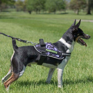 ,Dog Harness,BrilliantK9,BrilliantK9