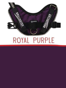 XLarge Active Dog Vest | Soft Dog Harness Detection Vest,Detection,BrilliantK9,BrilliantK9