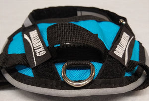 BrilliantK9 Handle - Littles Add On - BrilliantK9 -      -                                                                             