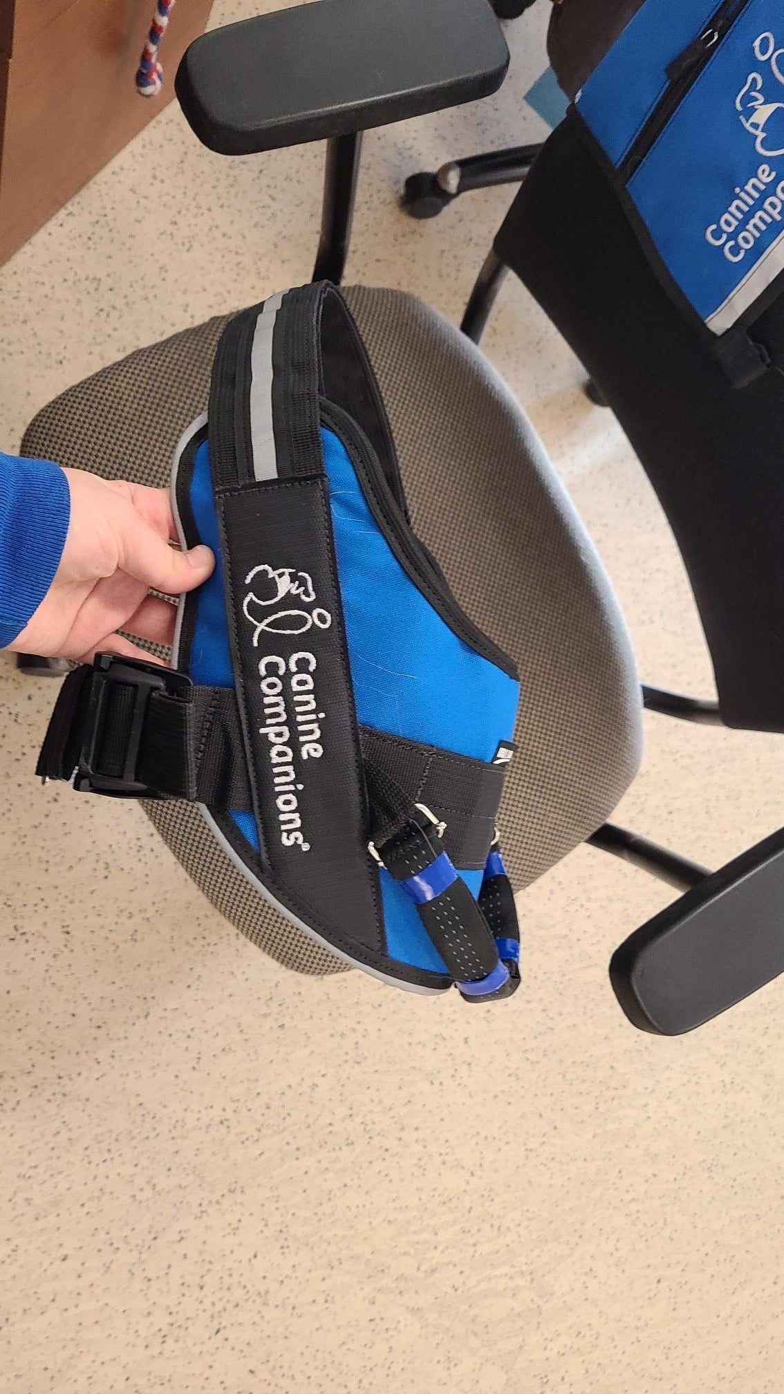 Canine Companions Wheel Chair Assist Harness - BrilliantK9 -      -                                                                             